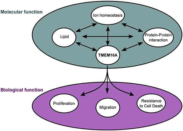 graphic file with name nihms-1533629-f0001.jpg