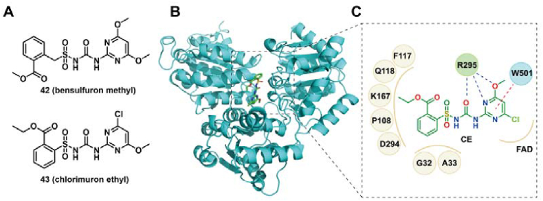 Figure 8