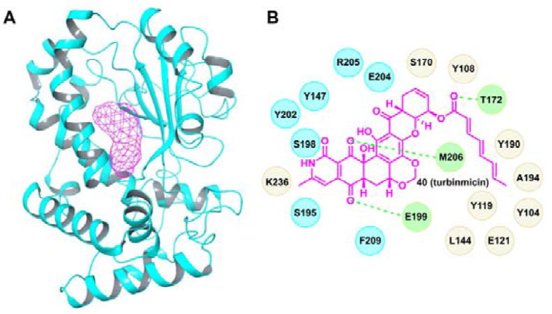 Figure 6