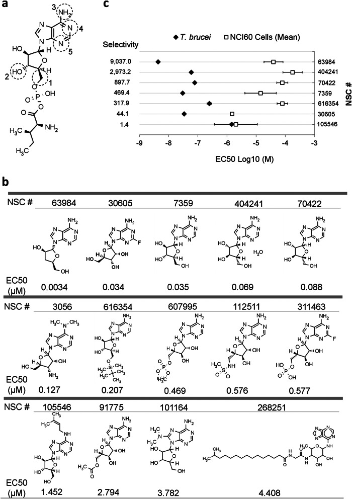 FIGURE 2.