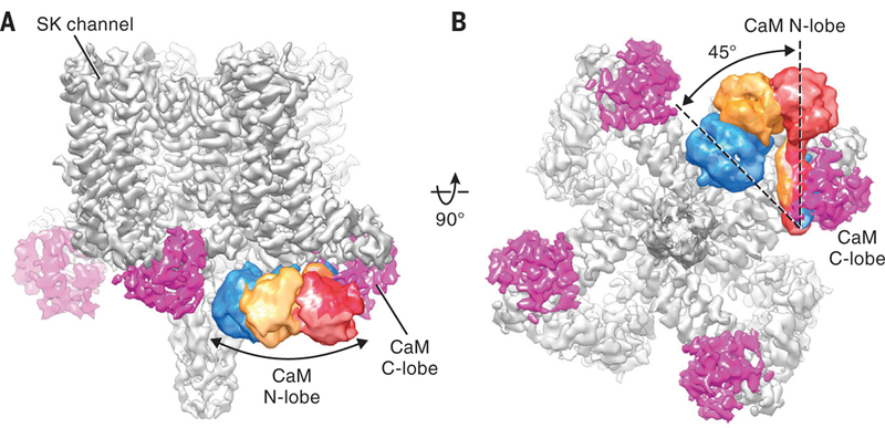 Fig. 2.