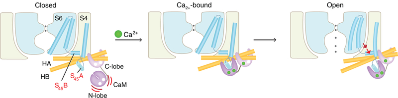 Fig. 6.