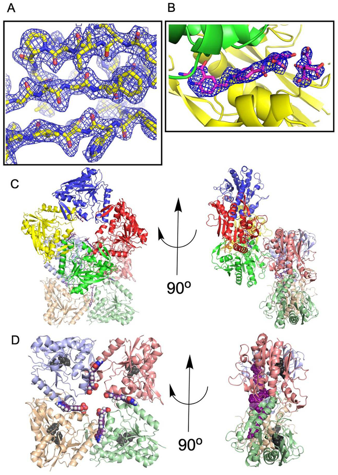 Figure 2.