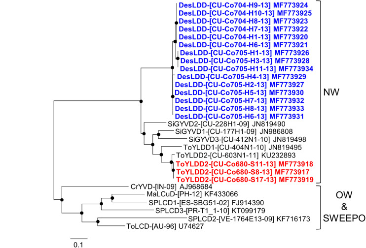 FIGURE 6