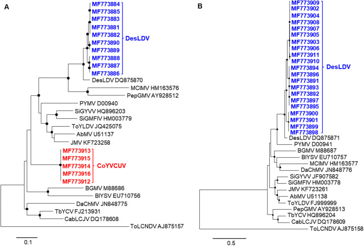 FIGURE 3