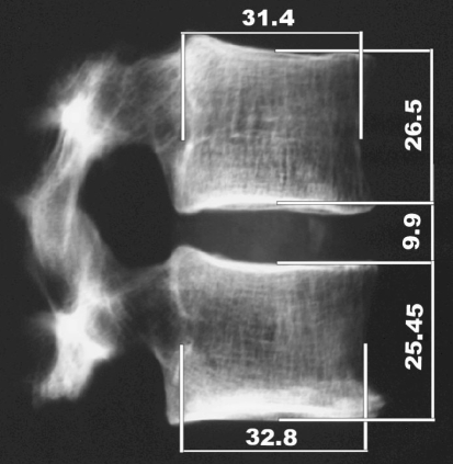 Fig. 1