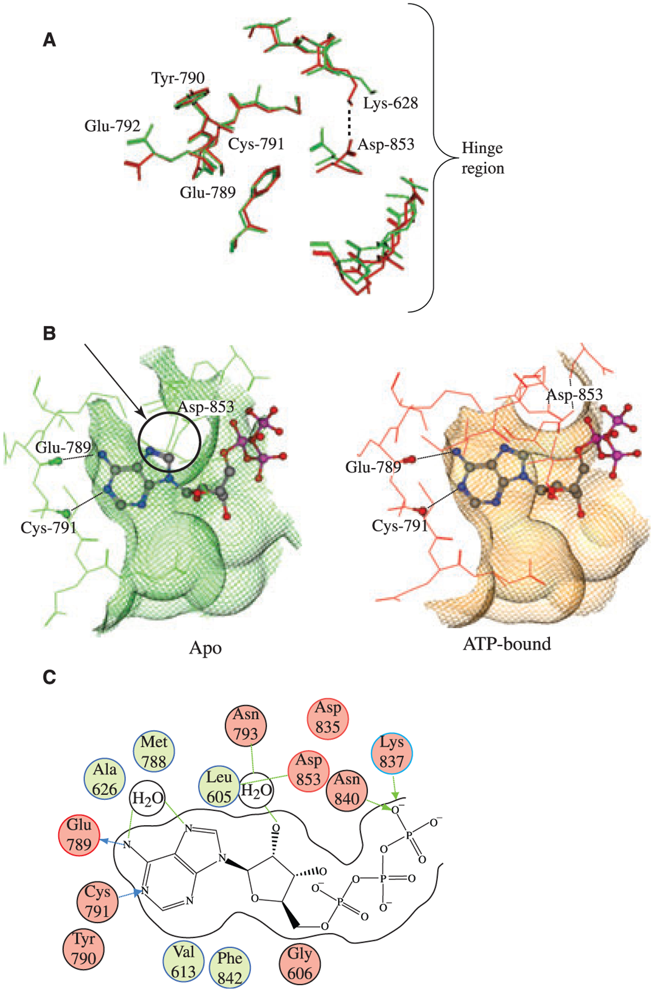 Figure 4: