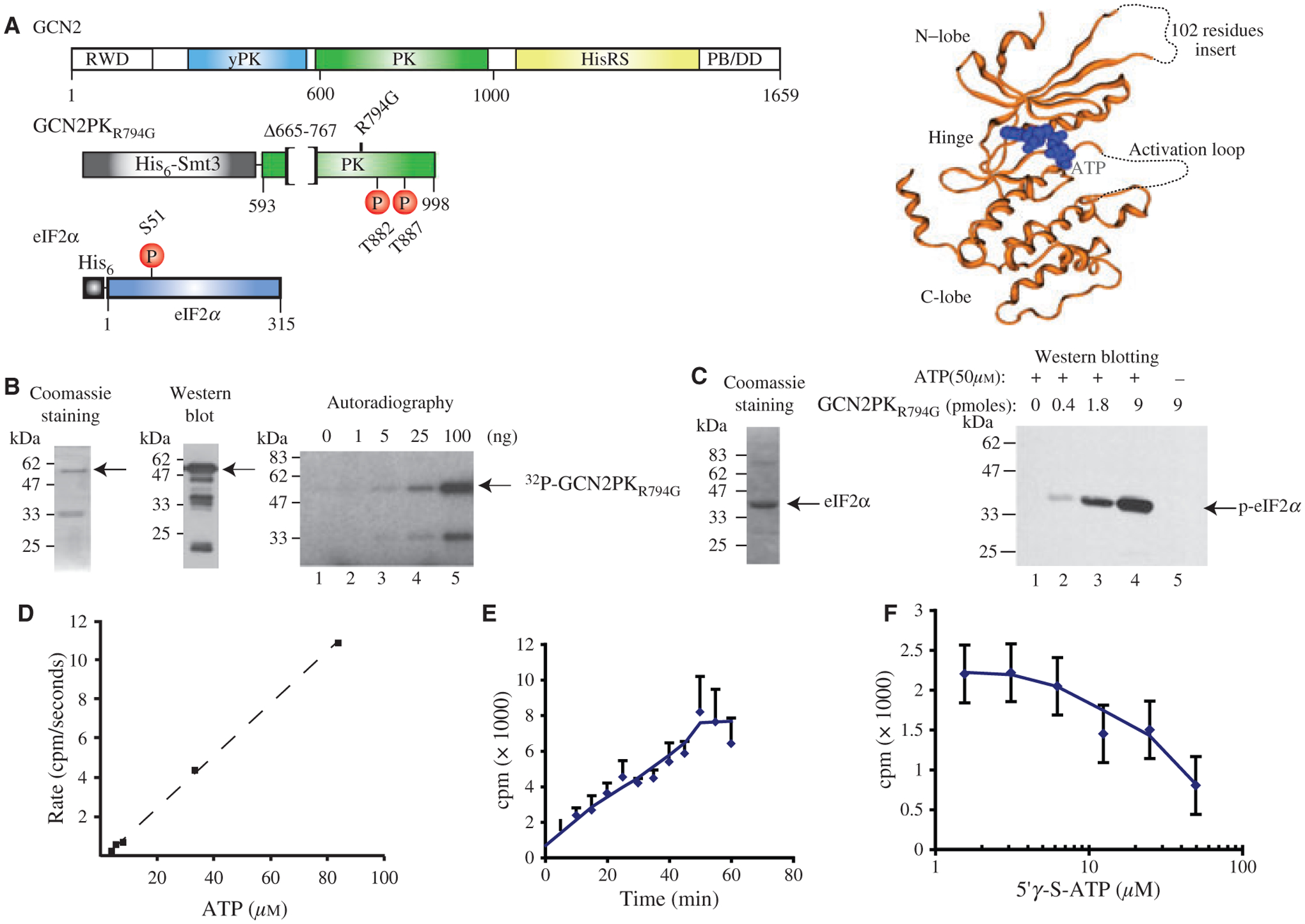 Figure 1: