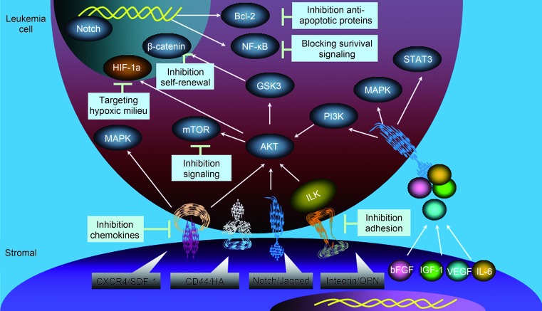 Figure4