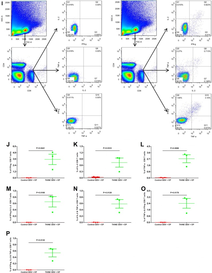 FIG 6