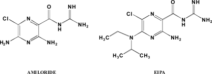 SCHEME 1.