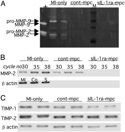 Fig. 9.