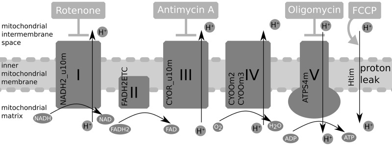 FIG. 4.