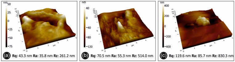 Figure 10