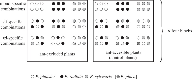 Figure 1.