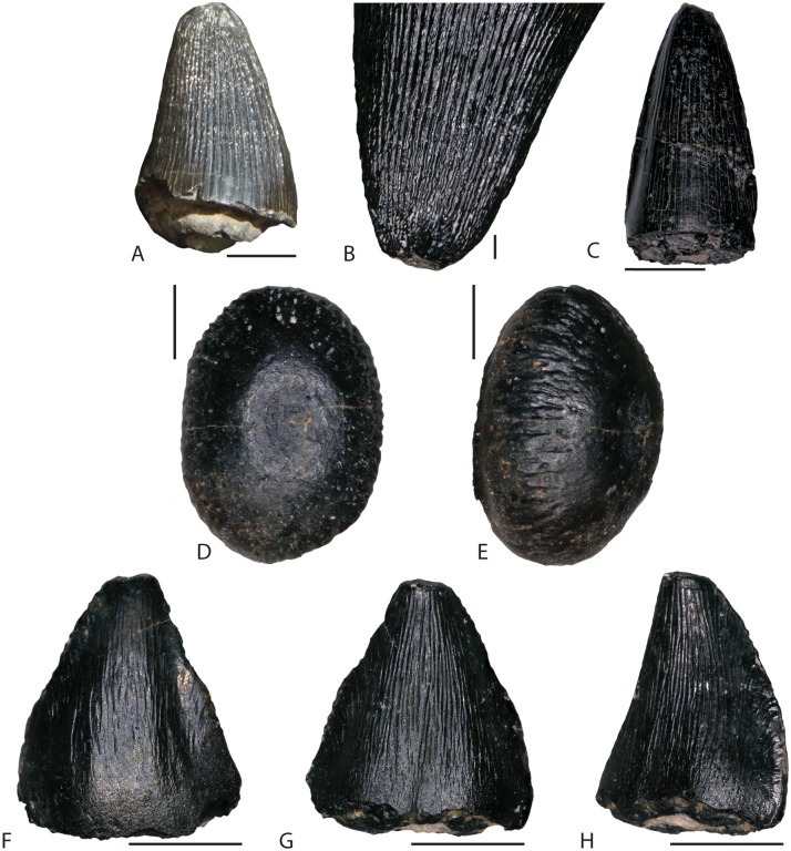 Fig 11