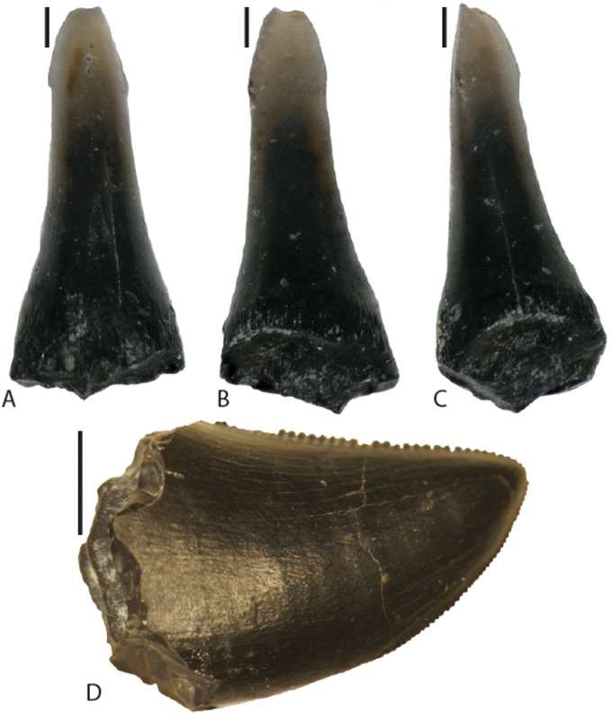 Fig 12