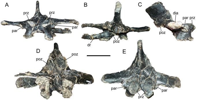 Fig 4