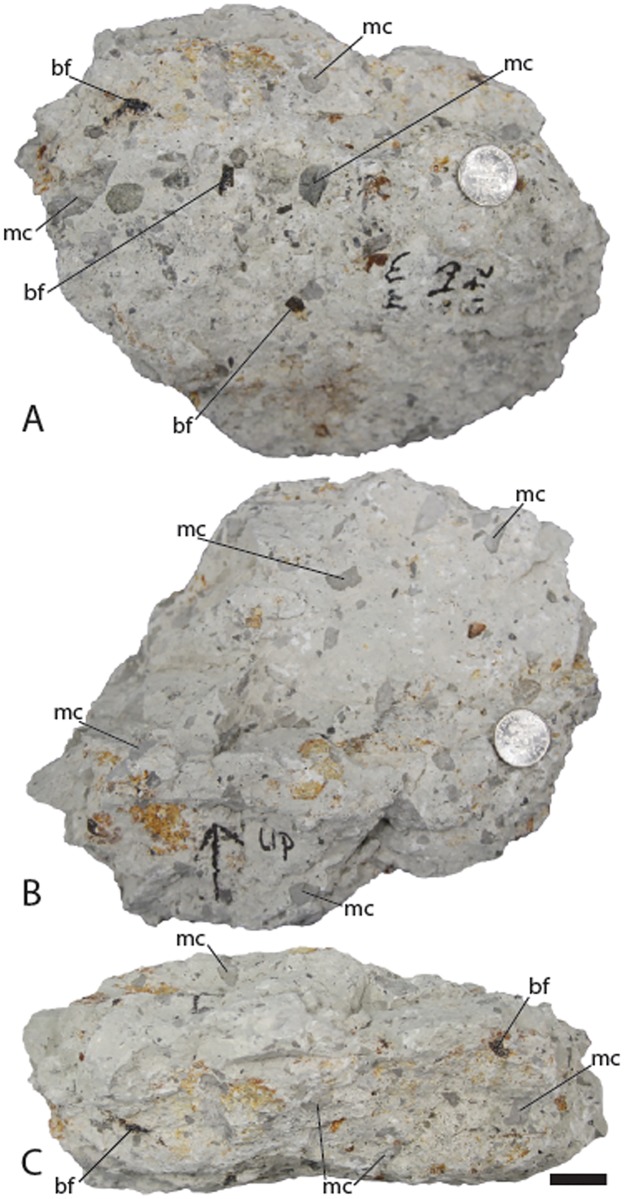 Fig 10