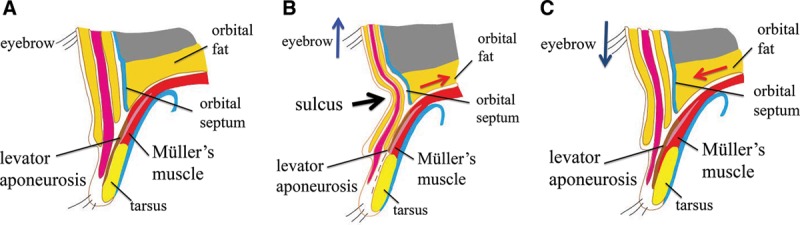 Fig. 3.