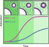 Fig. 7.