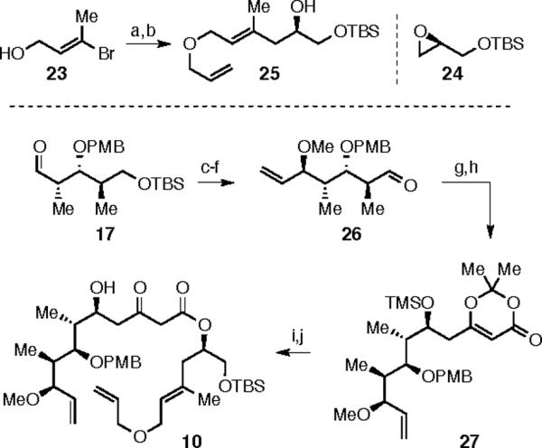 Scheme 5