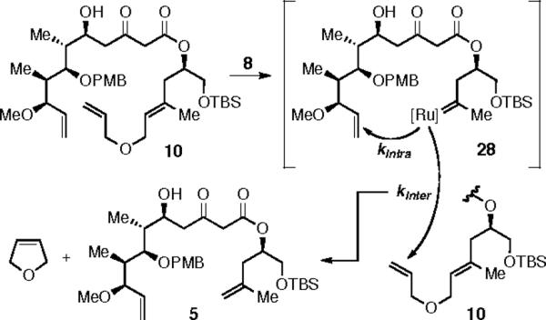 Scheme 6