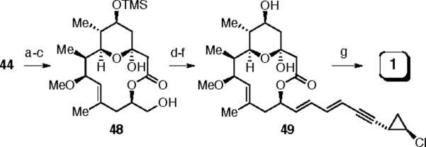 Scheme 12