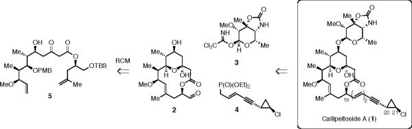 Scheme 1