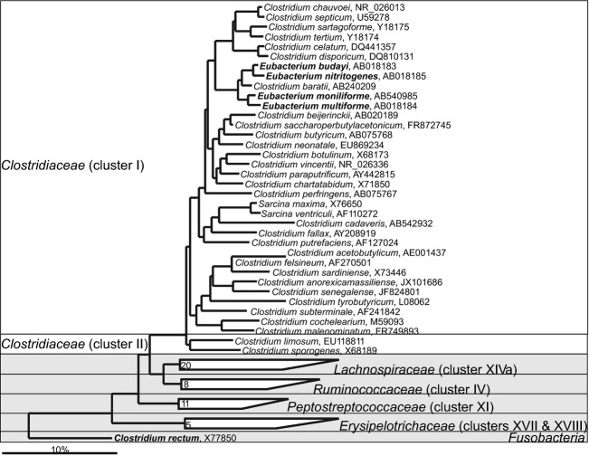 Fig 12