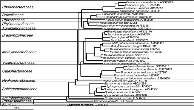 Fig 21