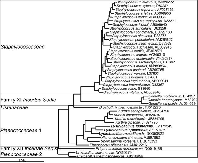 Fig 10