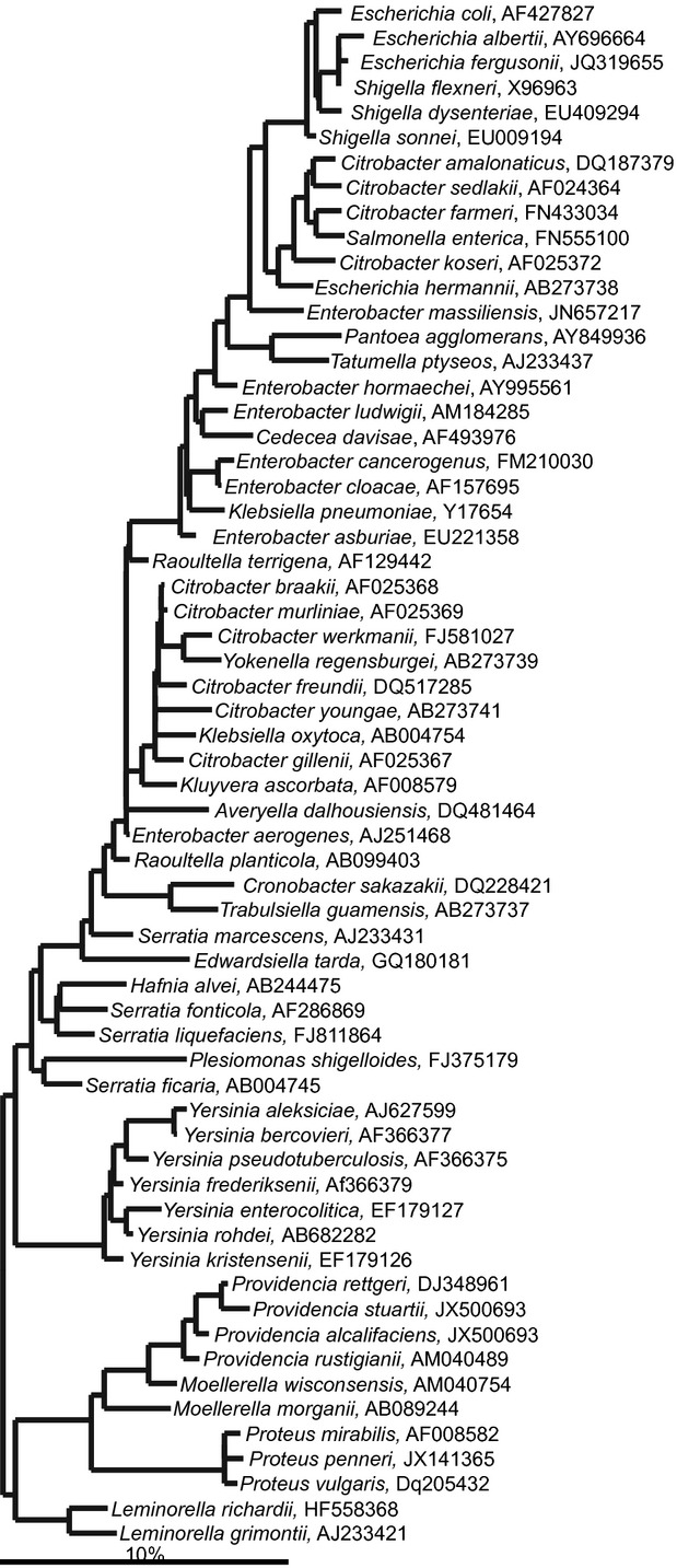 Fig 23