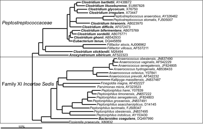 Fig 16