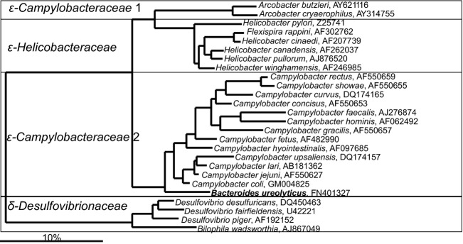 Fig 25