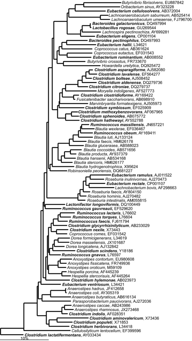 Fig 13