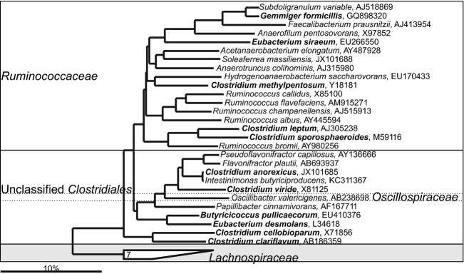 Fig 14