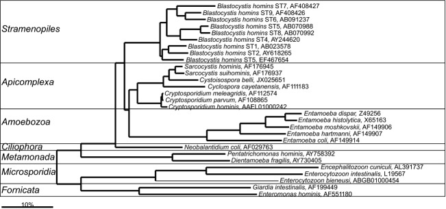 Fig 28