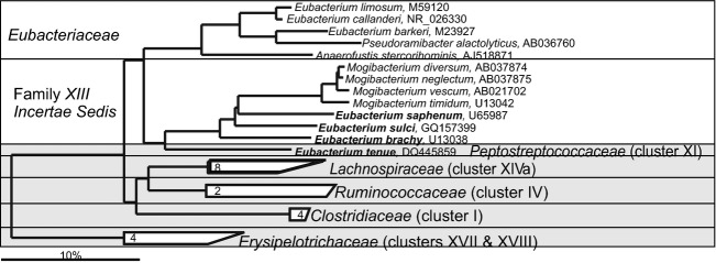 Fig 15