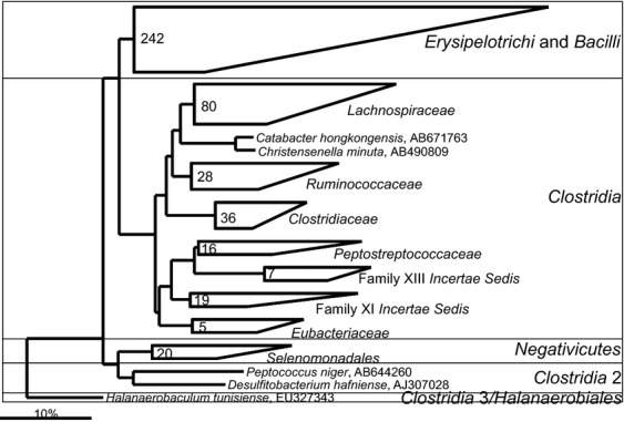 Fig 17