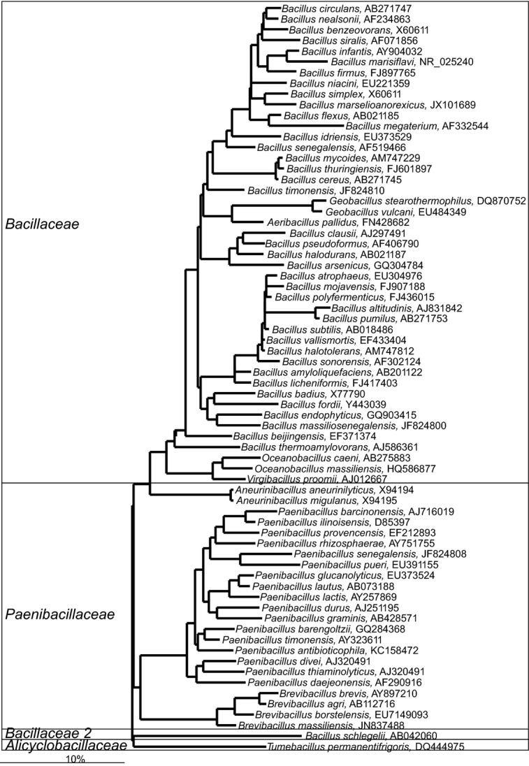 Fig 11