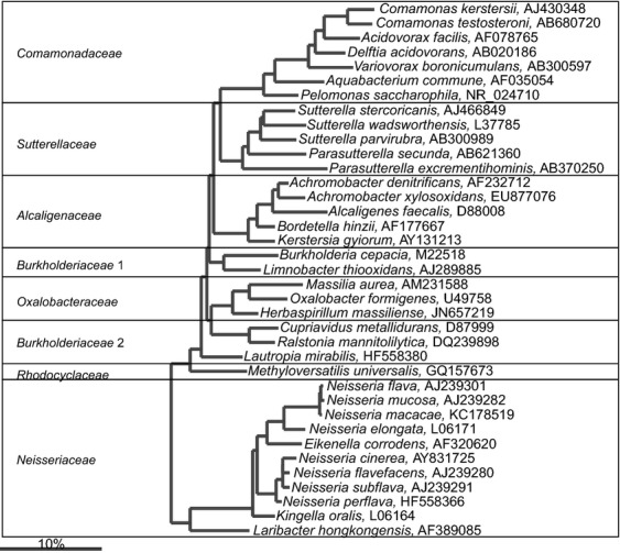 Fig 22