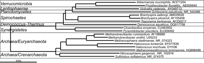 Fig 26