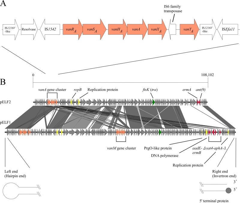 FIG 3