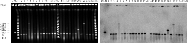 FIG 2