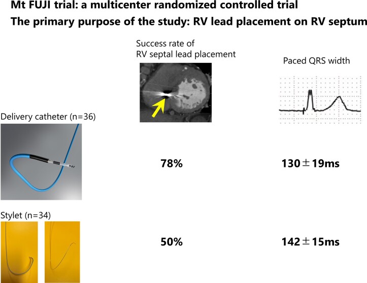 Graphical Abstract