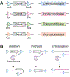 Figure 3: