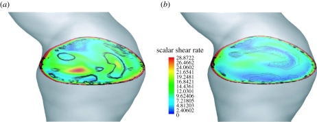 Figure 9.