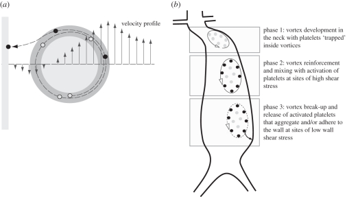 Figure 11.