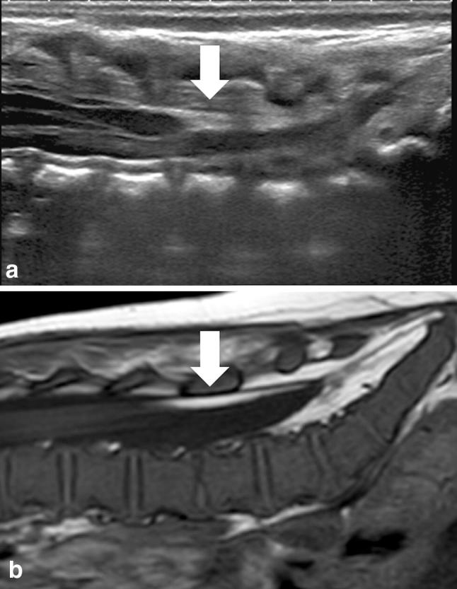 Fig. 11